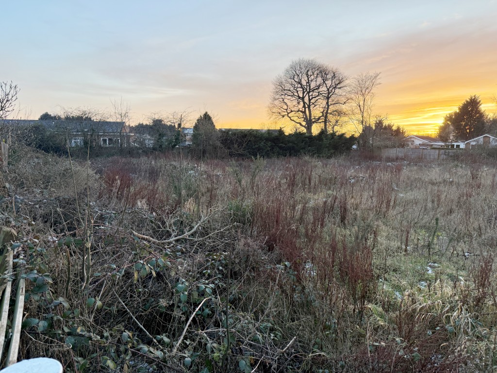 Lot: 50 - 1.6 ACRES OF LAND WITH POTENTIAL - View of land from Hayes Walk
